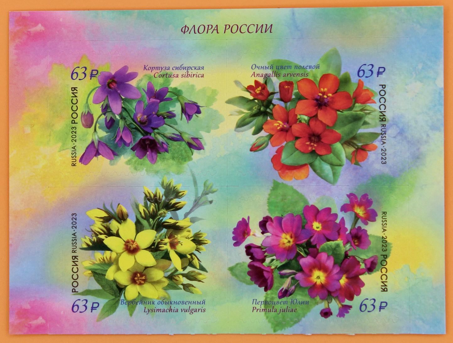 2023, 3040-3043, Серия «Флора России. Первоцветные» - серия марок, Россия