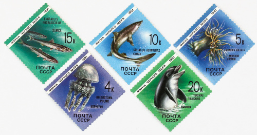 1991, 6279-6283, Фауна Черного моря - Серия, 5 марок, СССР