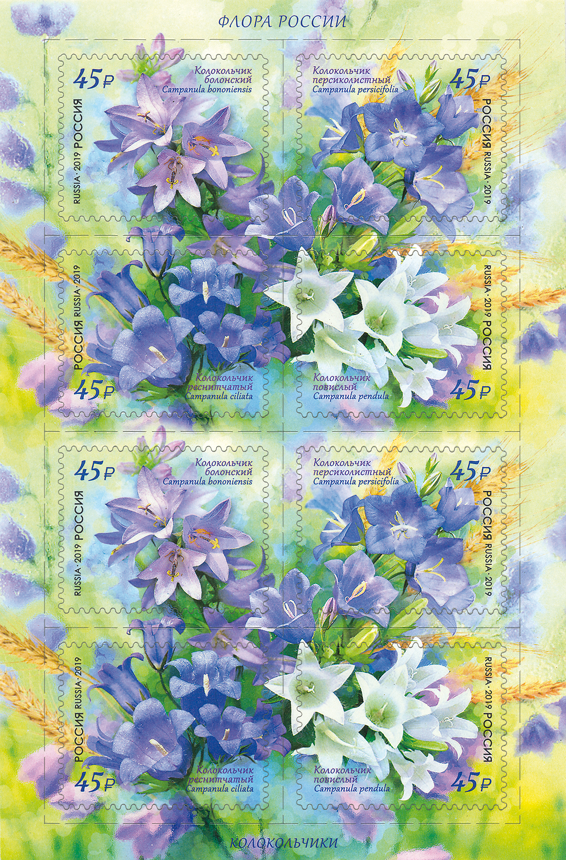 2019, 2483-2486, Флора России. Цветы. Колокольчики - Малый лист, Россия
