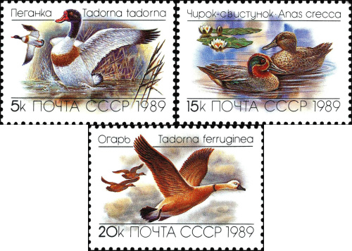 1989, 6084-6086, Утки - Серия, 3 марки, СССР