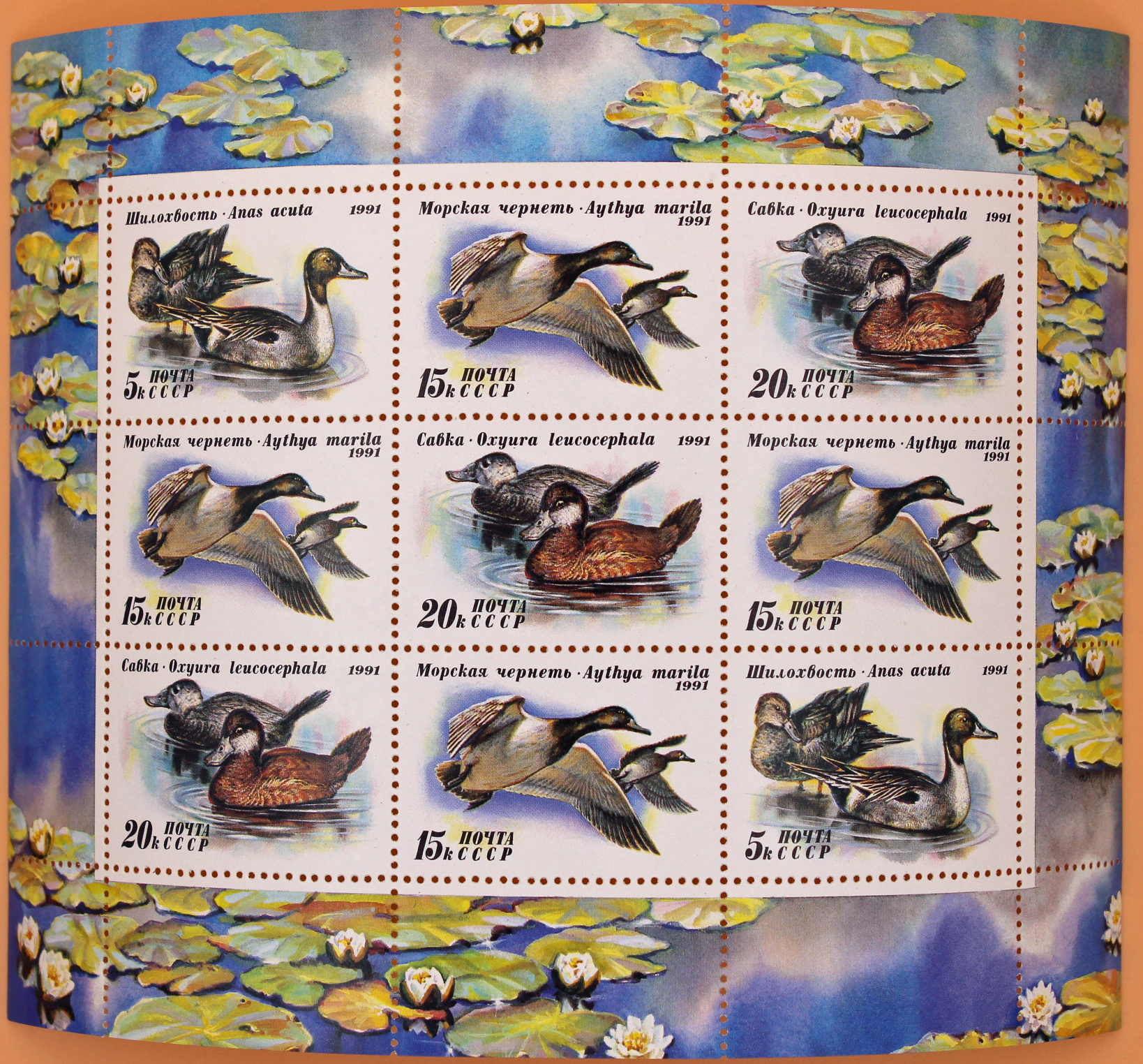 1991, 6334-6336, Утки - Малый лист, СССР