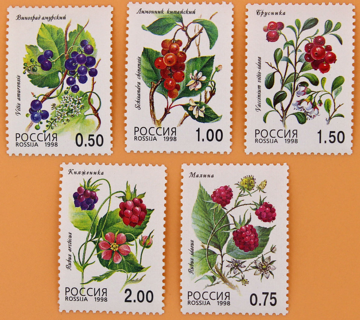 1998, 447-451, Флора. Лесные ягоды - Серия, 5 марок, Россия