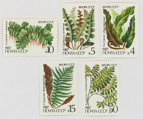 1987, 5846-5850, Папоротники - Серия, 5 марок, СССР