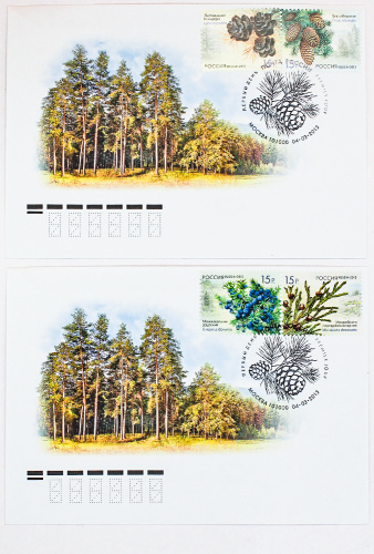 2013. КПД № 1733 (1682-1685). Флора России. Шишки хвойных деревьев и кустарников. - 2 конверта, Россия, гашение Москва