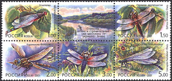 2001, 671-675, Стрекозы - Сцепка, Россия