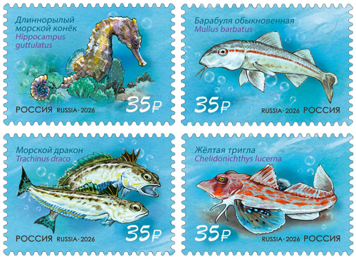 2026, № 3633-3636. Серия «Фауна России». Обитатели Чёрного моря - Серия, 4 марки, Россия