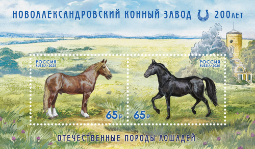 2025, № 3463-3464. Отечественные породы лошадей. К 200-летию Новоалександровского конного завода - Почтовый блок, Россия