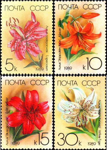 1989, 6050-6053, Садовые лилии - Серия, 4 марки, СССР