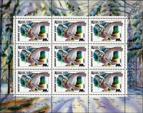 1990, 6183, Снежная сова (Bubo scandiacus) - Малый лист, СССР
