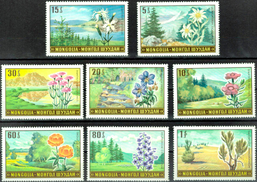1969. Цветы, флора - Серия, 8 марок, Монголия