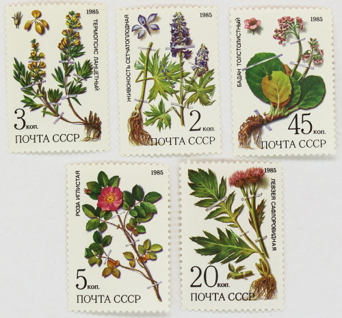 1985, 5649-5653, Охраняемые лекарственные растения Сибири - Серия, 5 марок, СССР