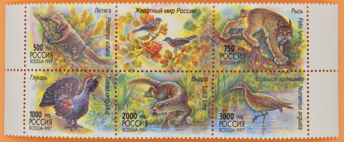 1997, 376-380, Животный мир России. - Сцепка, Россия