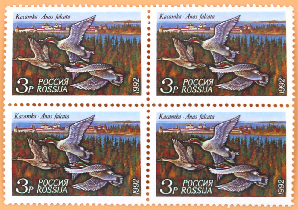 1992, 37, Касатка. многоцветная - Квартблок, Россия