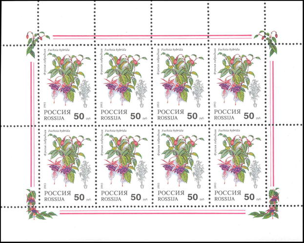 1993, 80, Комнатные растения. Фуксия гибридная - Малый лист, Россия