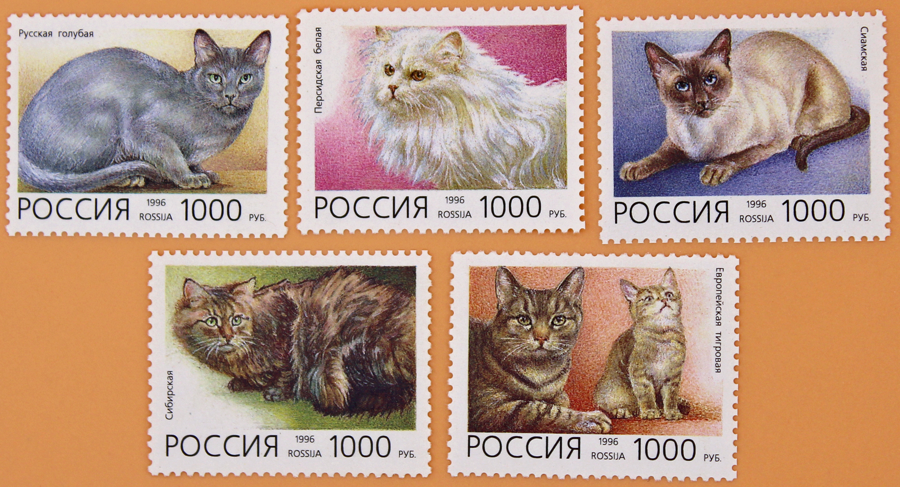 1996, 266-270, Домашние кошки. - Серия, 5 марок, Россия