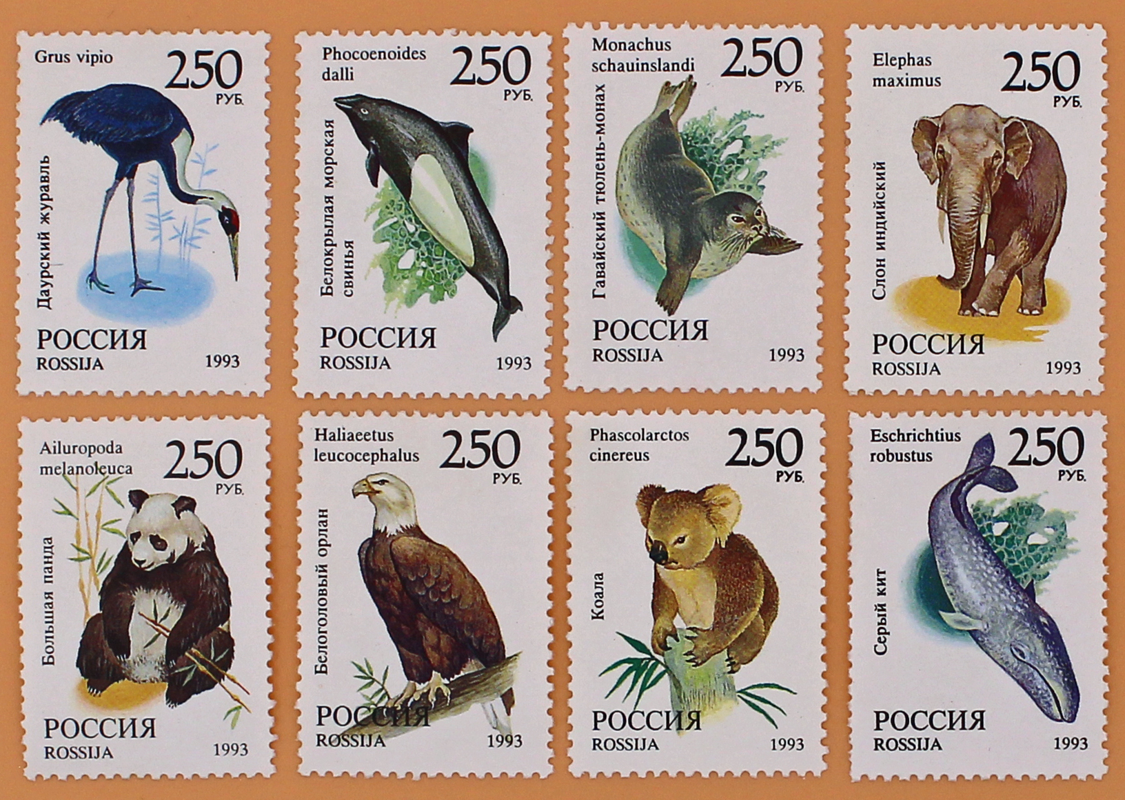 1993, 130-137, Фауна мира. - Серия, 8 марок, Россия