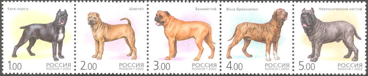2002, 739-743, Собаки - Сцепка, Россия