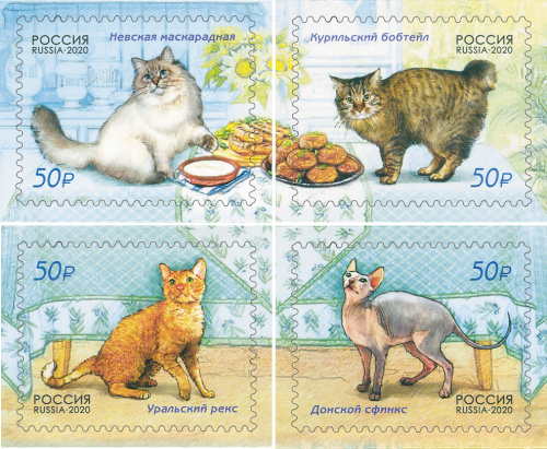 2020, 2611-2614, Фауна России. Кошки - Серия, 4 марки, Россия