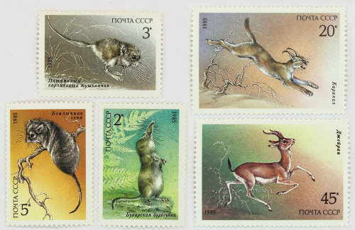 1985, 5658-5662, Животные - Серия, 5 марок, СССР
