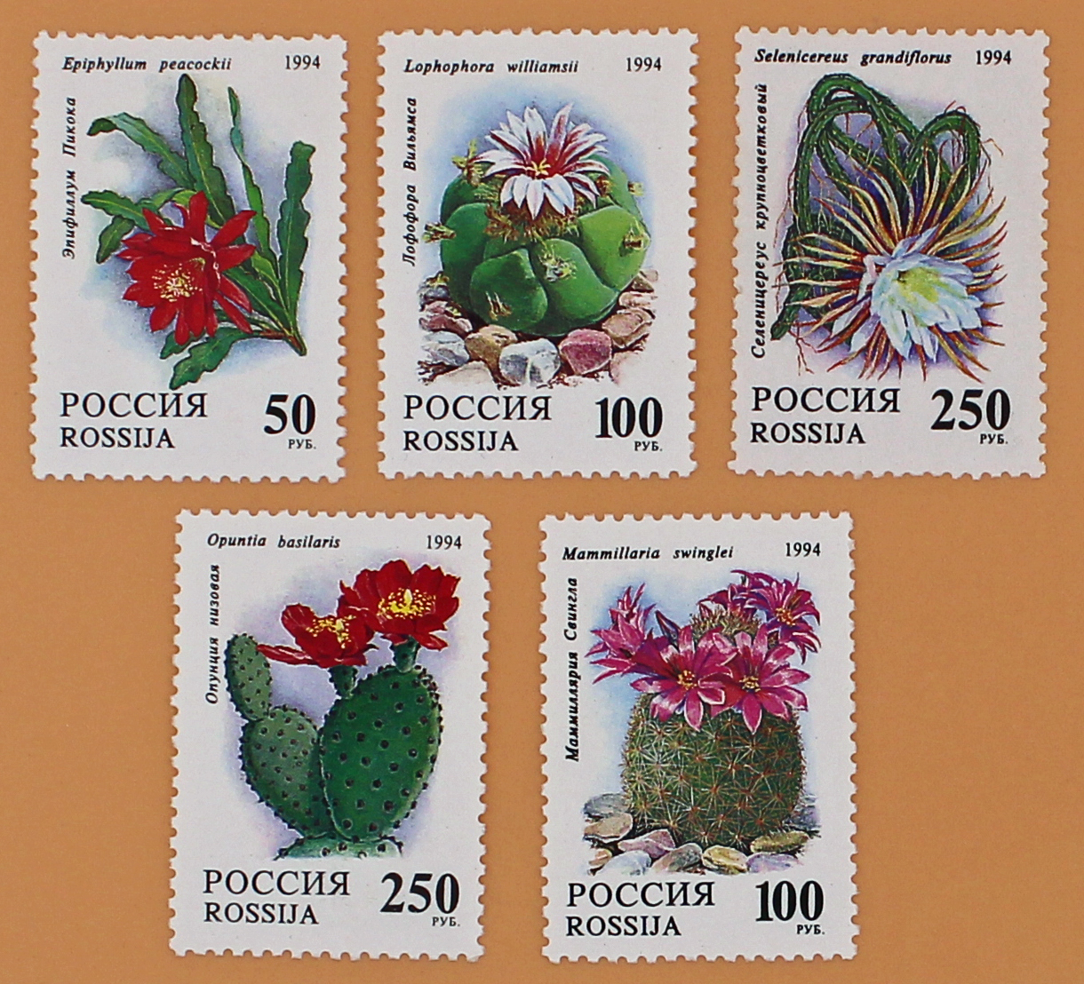1994, 144-148, Комнатные растения. Кактусы. - Серия, 5 марок, Россия