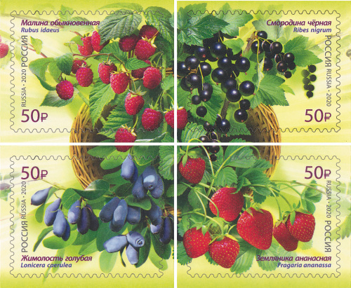 2020, 2585-2588, Флора России. Ягоды - Серия, 4 марки, Россия