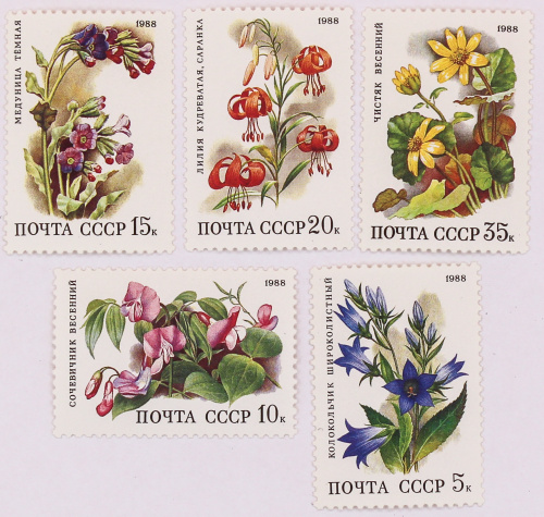 1988, 5965-5969, Листопадные лесные цветы - Серия, 5 марок, СССР