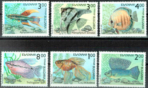 1993. Рыбы - Серия, 6 марок, Болгария