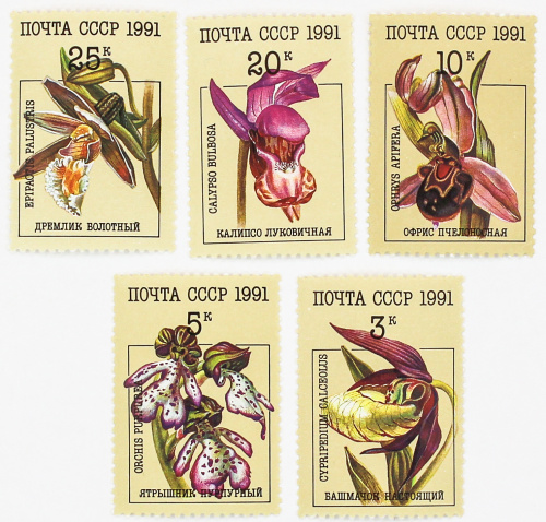 1991, 6315-6319, Орхидеи - Серия, 5 марок, СССР