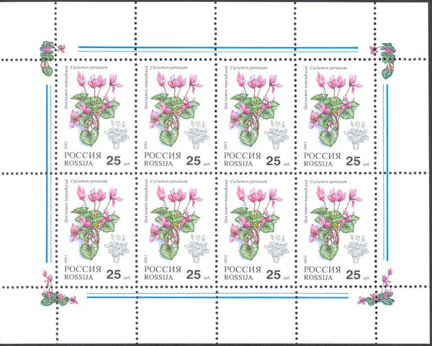 1993, 79, Комнатные растения. Цикламен персидский - Малый лист, Россия