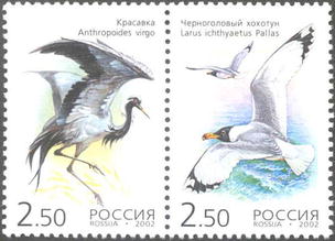 2002, 776-777, Редкие птицы. Красавка. Черноголовый хохотун - Сцепка, Россия