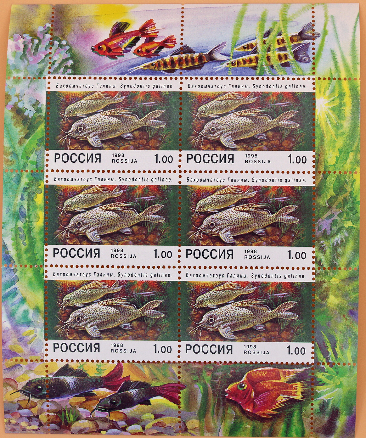 Поступление российских марок 1998 года в наш интернет-магазин